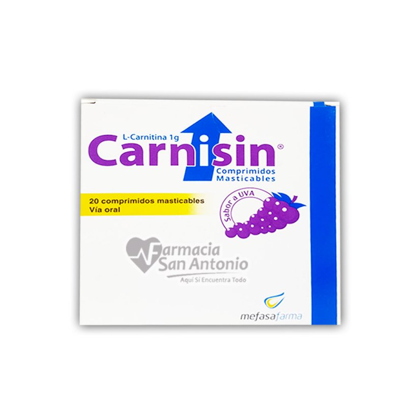 CARNISIN 1G X 20 COMP.