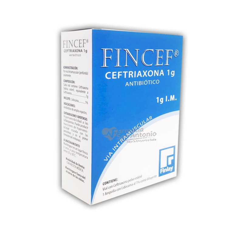 FINCEF CEFTRIAXONA 1G IM